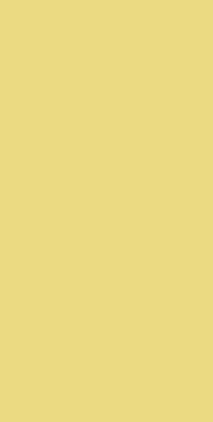 CT 0263 T Light Yellow