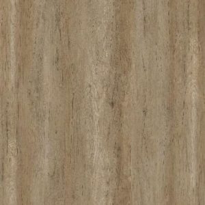 CT 5315 T Torreya Wood