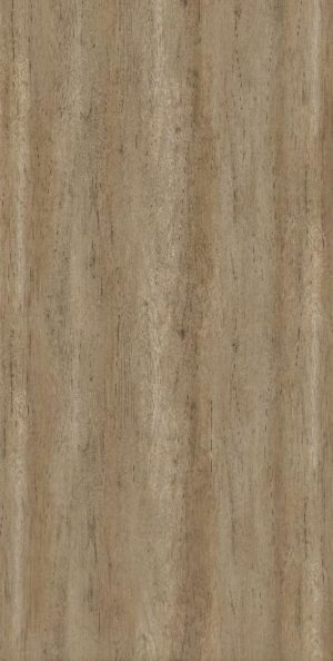 CT 5315 T Torreya Wood