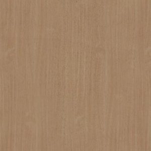 CT 5668 T White Beech