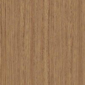 CT 6400 DM Shyam Teak