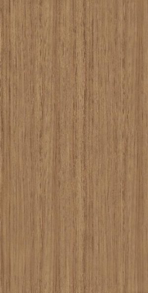 CT 6400 DM Shyam Teak