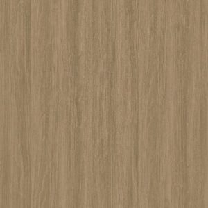 CT 6478 DM Bereno Elm