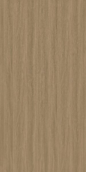 CT 6478 DM Bereno Elm