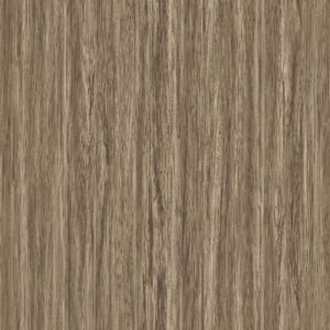 CT 6511 DM Zebrano Walnut