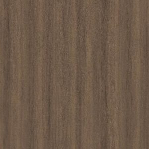 CT 8571 NT Shasta Oak